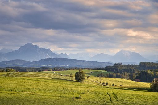 fields-6654366_1920